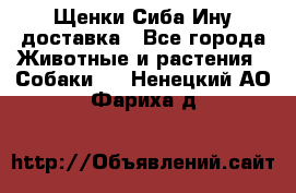 Щенки Сиба Ину доставка - Все города Животные и растения » Собаки   . Ненецкий АО,Фариха д.